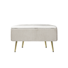48cm Beige Velvet Storage Bench with Gold Legs – Modern Upholstered Ottoman Seat with Hidden Storage - L.H. (FN185-00-BG)
