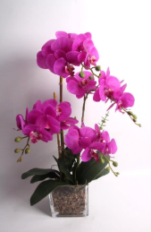 64cm Pink Orchid in Pot (Set of 2) - DE.L