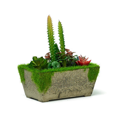 Evergreen Artificial Succulent In A Natural Planter