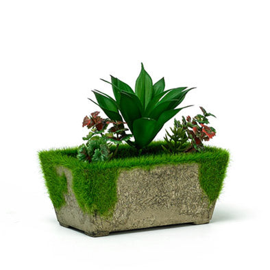 Evergreen Artificial Succulent In A Natural Planter
