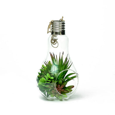 Decorative Glass Hanging Bulb Artificial Succulent Plant Featuring Rope Display