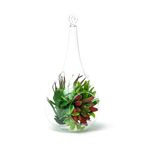 Artificial Succulent Plant In A Hanging Glass Terrarium