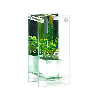 Decorative Plant In A Mirrored Glass Display