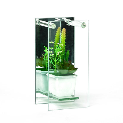 Decorative Plant In A Mirrored Glass Display