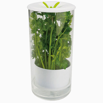 Green Fresh Glass Herb Storage